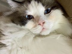 -白兔子密室(长寿路店)