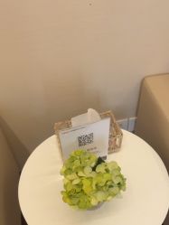 -上海玫瑰医疗美容医院