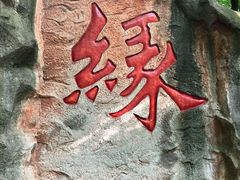 -杭州黄龙洞
