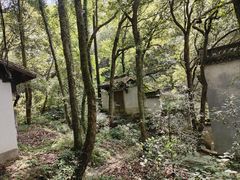 -富春桃源风景区