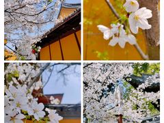 -龙华寺