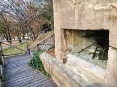 -青岛德国总督楼旧址博物馆