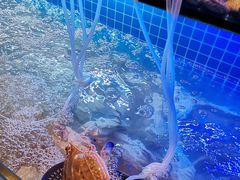 -星伦多自助料理(永旺店)