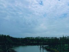 -上海长兴岛郊野公园