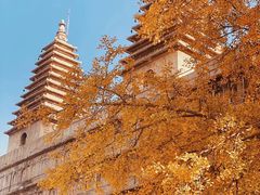 -北京石刻艺术博物馆(五塔寺)