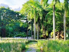 -深圳国际园林花卉博览园