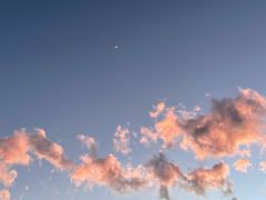 -唐咖精品咖啡(大理古城手冲店)