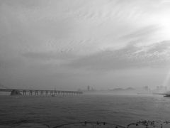 -添福来墨鱼饺子 · 海鲜东北菜(大连星海·黄浦路店)