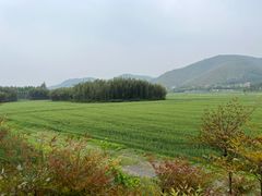-杭州双溪漂流景区