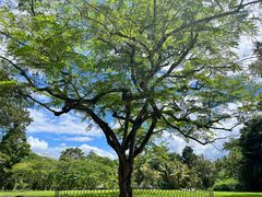 -中国科学院西双版纳热带植物园
