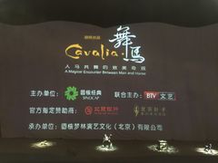 -cavalia·舞马