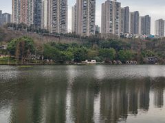 -重庆彩云湖湿地公园