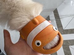 -星多哈·狗咖·拼豆·咖啡