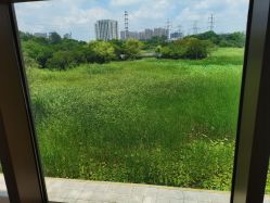 -雅馨国际月子中心