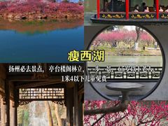 -潘德林茶社(新城河路店)