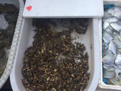 -芦潮港集贸市场