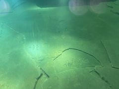 -白鹤梁水下博物馆