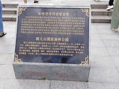 -帽儿山国家森林公园