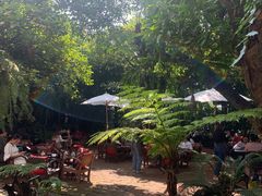 -Fern Forest Cafe