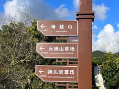 -大姆山草场