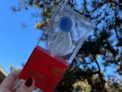 脊兽造型水果味棒棒糖-故宫冰窖餐厅