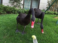 -南京圣和府邸豪华精选酒店