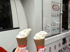 -富豪雪糕车流动点(尖沙咀店)