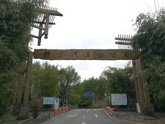 -桤木河湿地公园