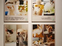 -福田卓悦INTOWN购物中心