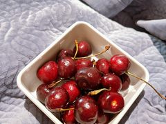 -碧涛阁水世界酒店·洗浴·自助(万家丽路店)