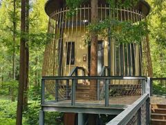 -黄海国家森林公园