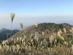 -东白山