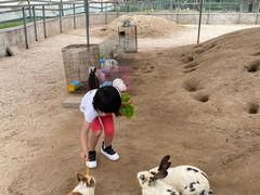 -前小桔亲子创意农场·草莓采摘·露营烧烤