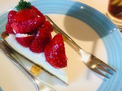 -澳洲牛奶公司(佐敦店)