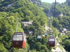 -王顺山国家森林公园