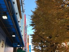 -秋叶原电器街