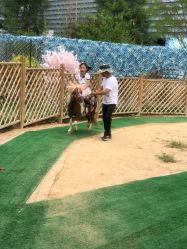 -萌宠亲子动物乐园(槐房万达店)