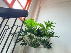 -橘酱餐厅