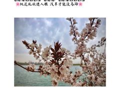 -丁香湖公园