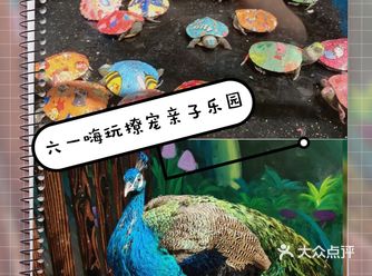 OMG！六一两大一小家庭票才120元，超值！