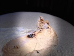 -阿侬盐焗鸡(清澜店)