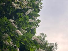 -西安曲江寒窑遗址公园