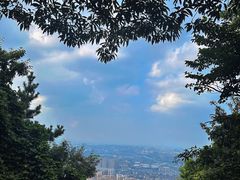 -惠山国家森林公园