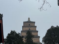 -大慈恩寺(大雁塔)