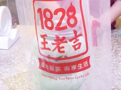 -1828王老吉·草本新茶(珠江新城地铁站店)