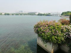 -贡湖湾湿地公园