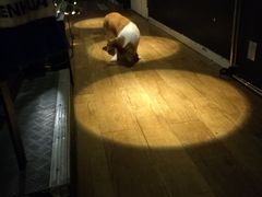 -M-3 PUB(创智天地店)