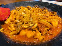 -红辣椒八爪鱼特色韩国料理