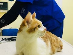 -芭比堂动物医院广州顽皮分院