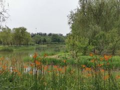 -东郊湿地公园